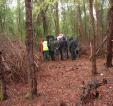 group standing near to piled rhododendron stumps in foregro